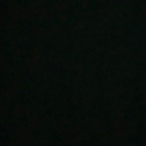 Meet your Posher, Sylvia